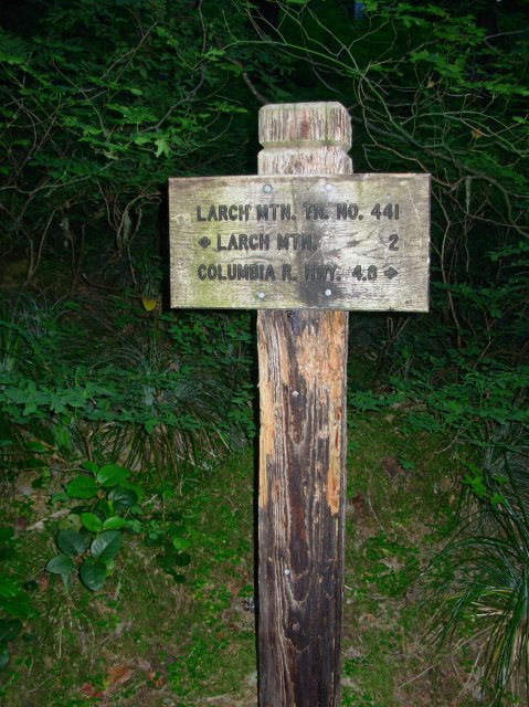 7.25.06 Larch Mountain 012 